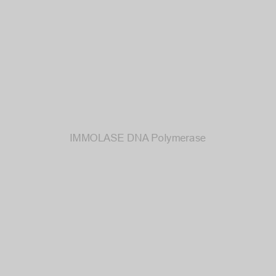 IMMOLASE DNA Polymerase